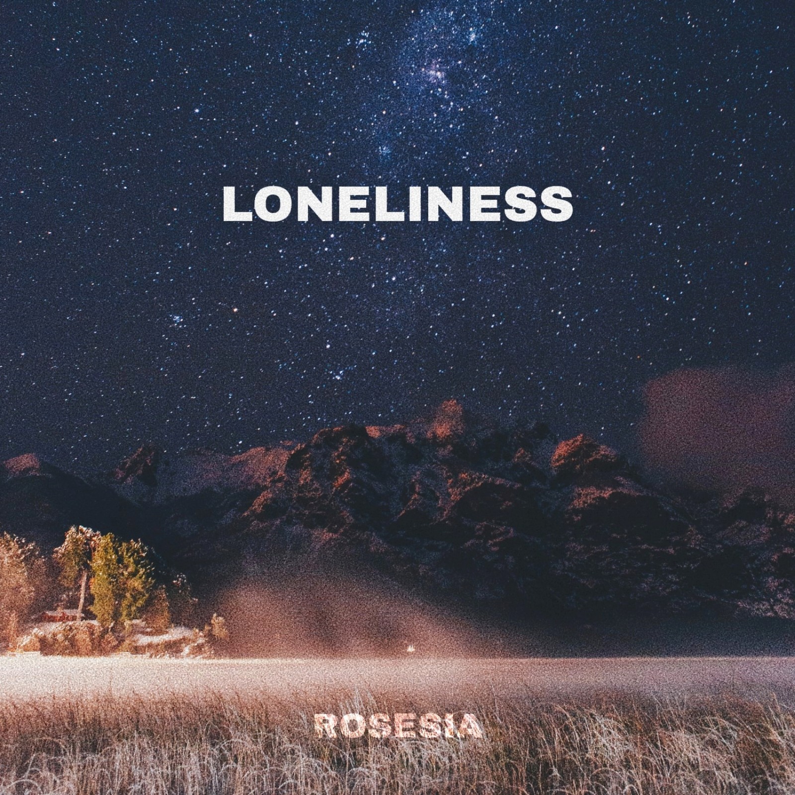 Loneliness