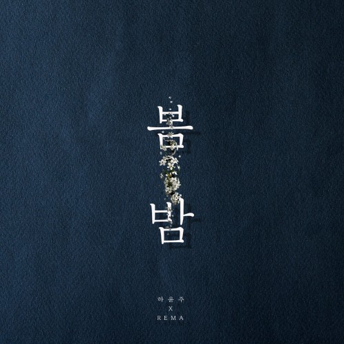 봄밤