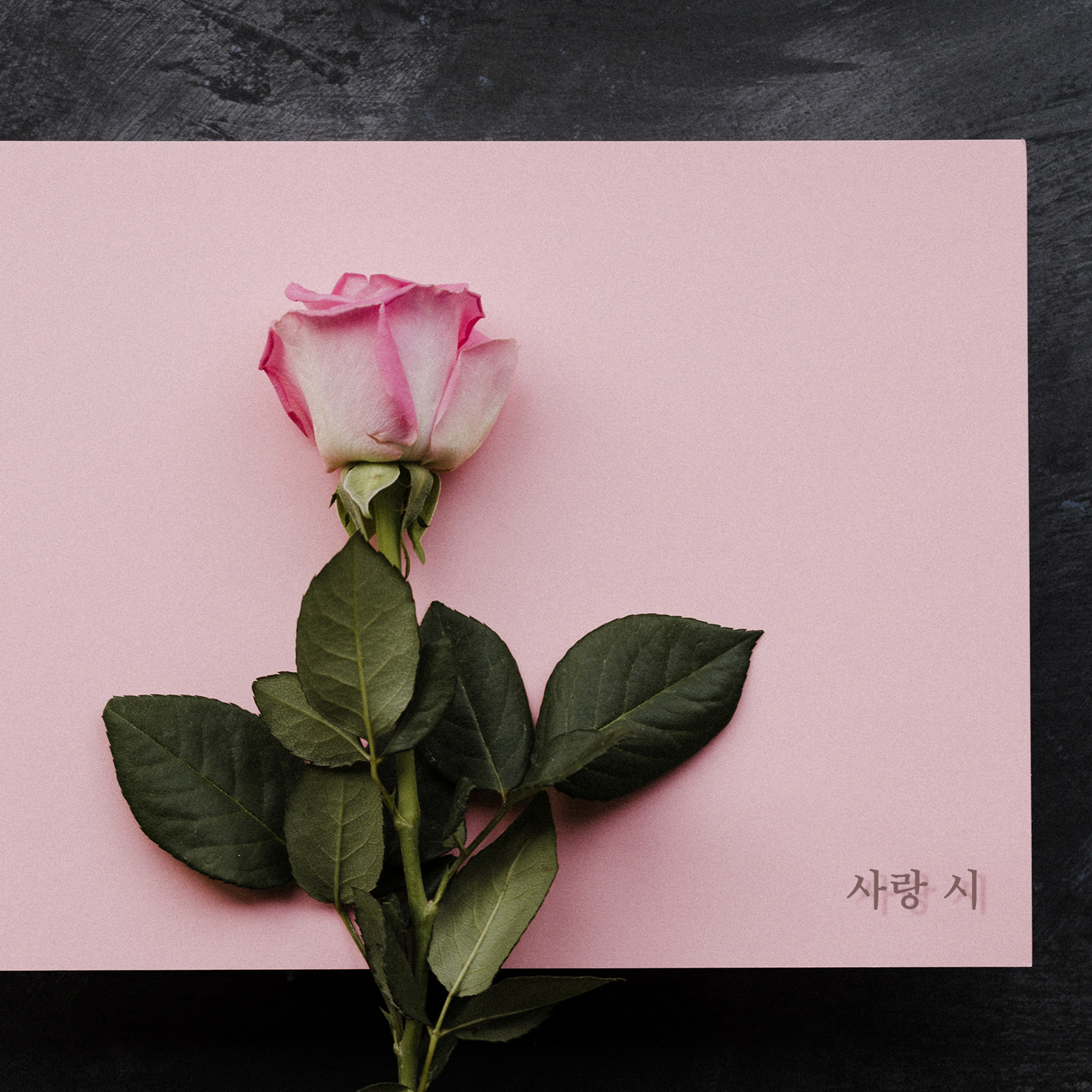 사랑 시